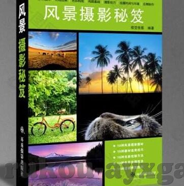 足球比分东京绿茵-东京绿茵，绿茵场上的比分交响曲
